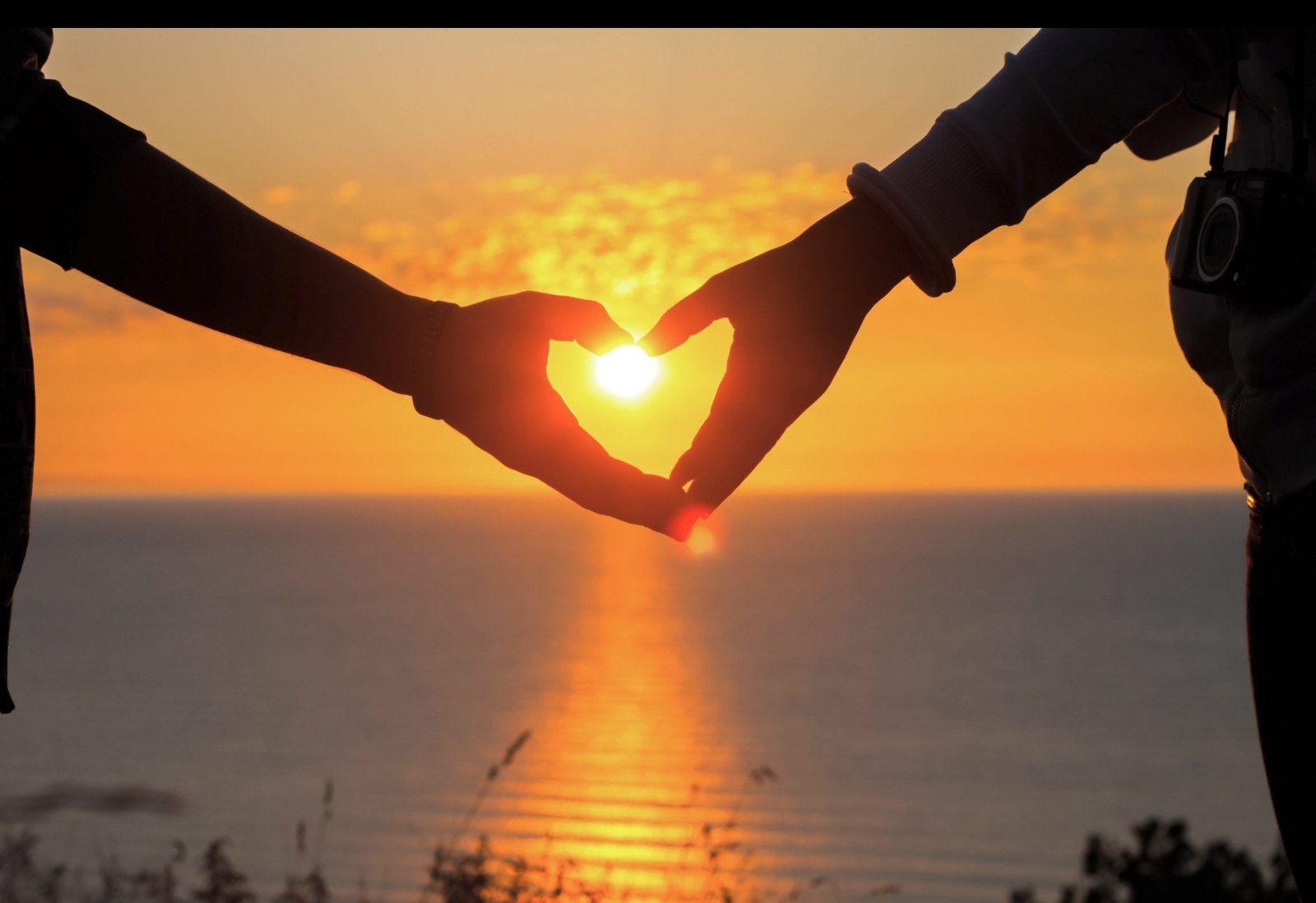 Screenshot_20230903-071145_Gallery