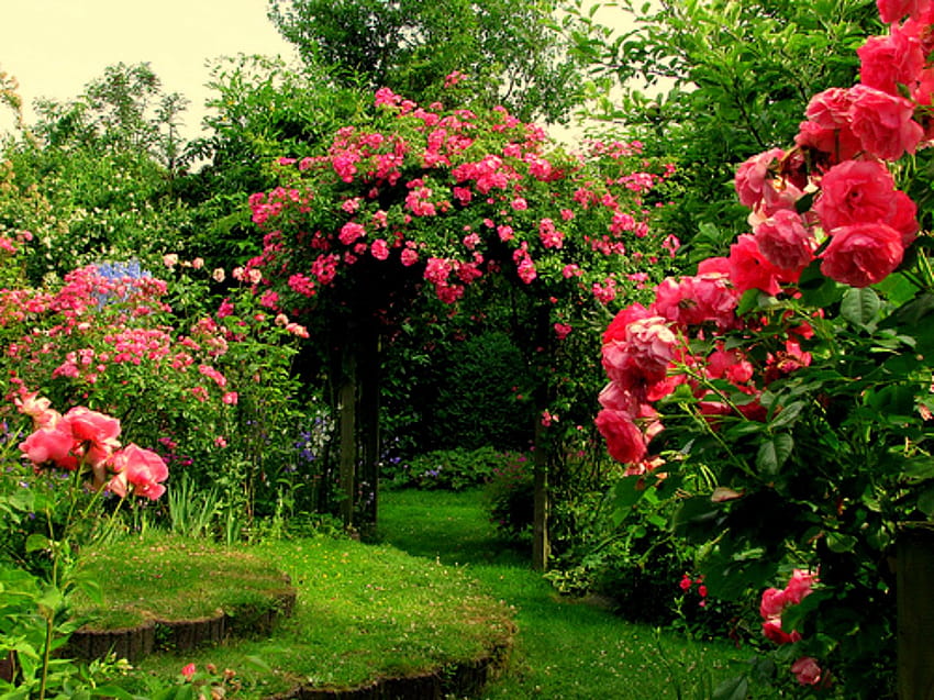 desktop-wallpaper-4-rose-garden-s